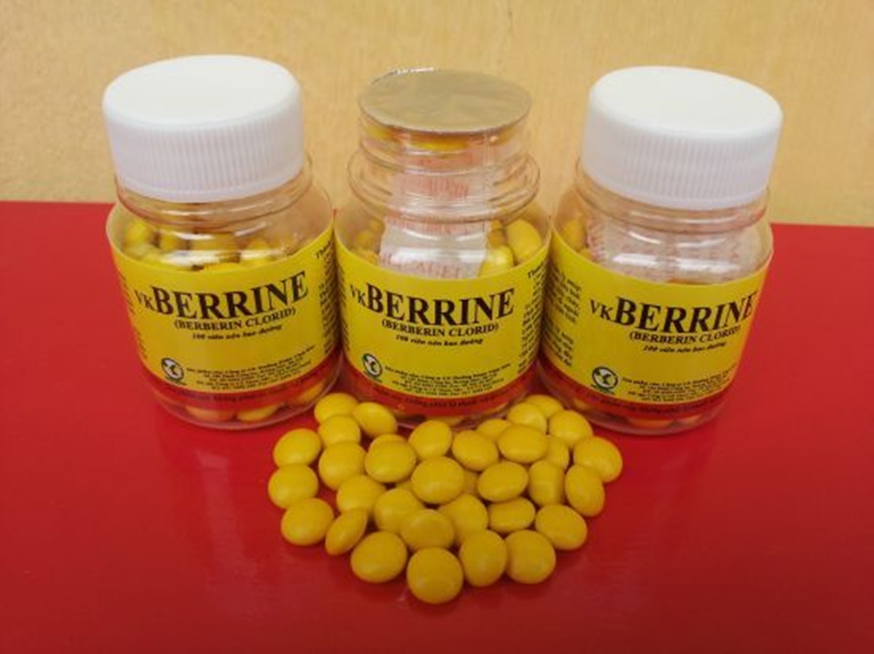 Thuốc Berberin sử dụng như nào là an toàn và hiệu quả