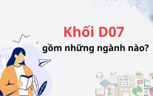 Những ngành học khối D07